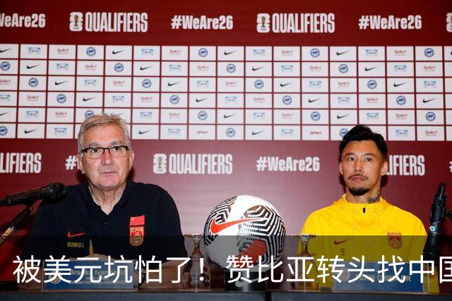 被美元坑怕了！赞比亚转头找中国：铜矿换人民币，这买卖划算！